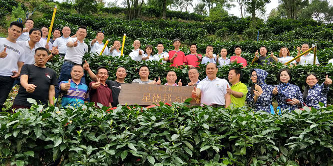 門窗企業后花園！星德邦搶先進駐清遠逸日紅茶山！